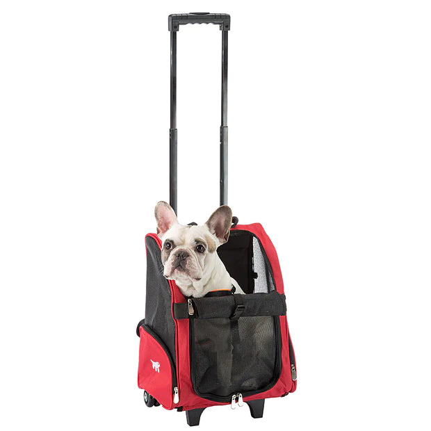 Trolley for cats or small dogs