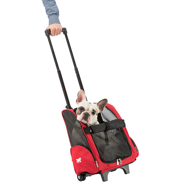 Trolley for cats or small dogs