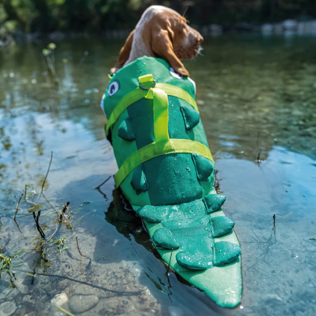 Salvavidas de cocodrilo para perros