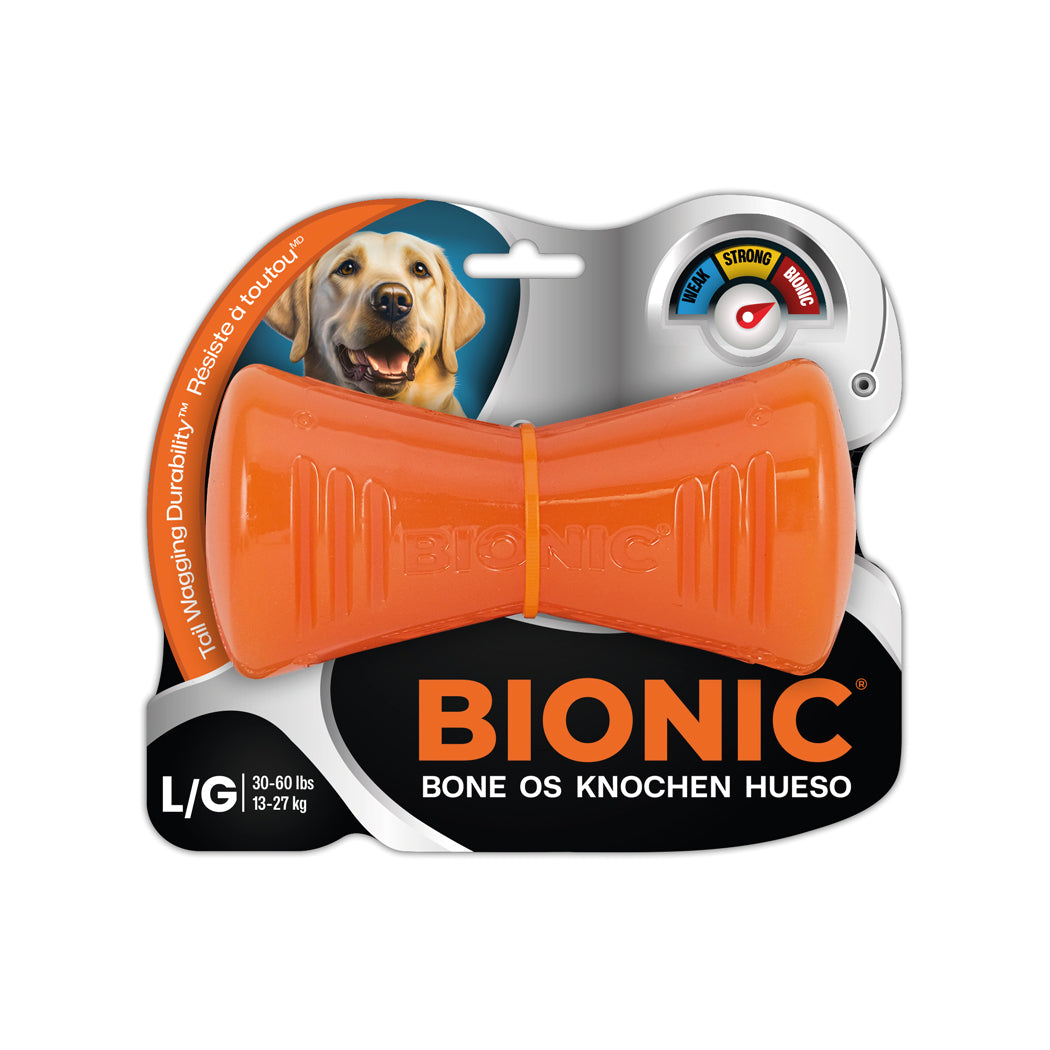 Bionic HUESO