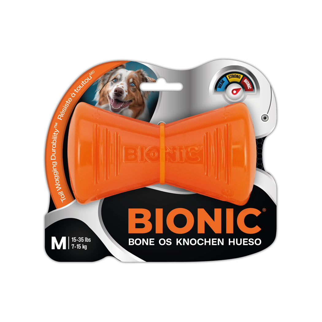 Bionic HUESO