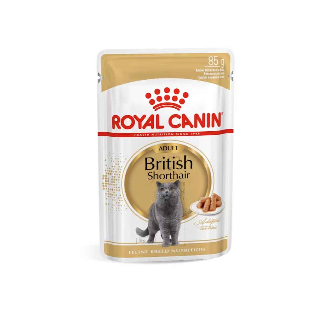 Royal Canin húmedo British Shorthair 85g
