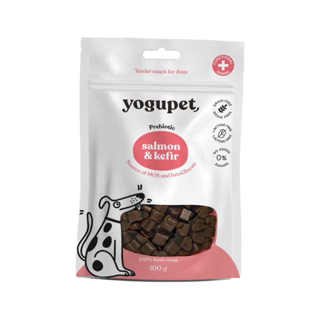 Yogupet Dog Snack salmon&kefir 100g