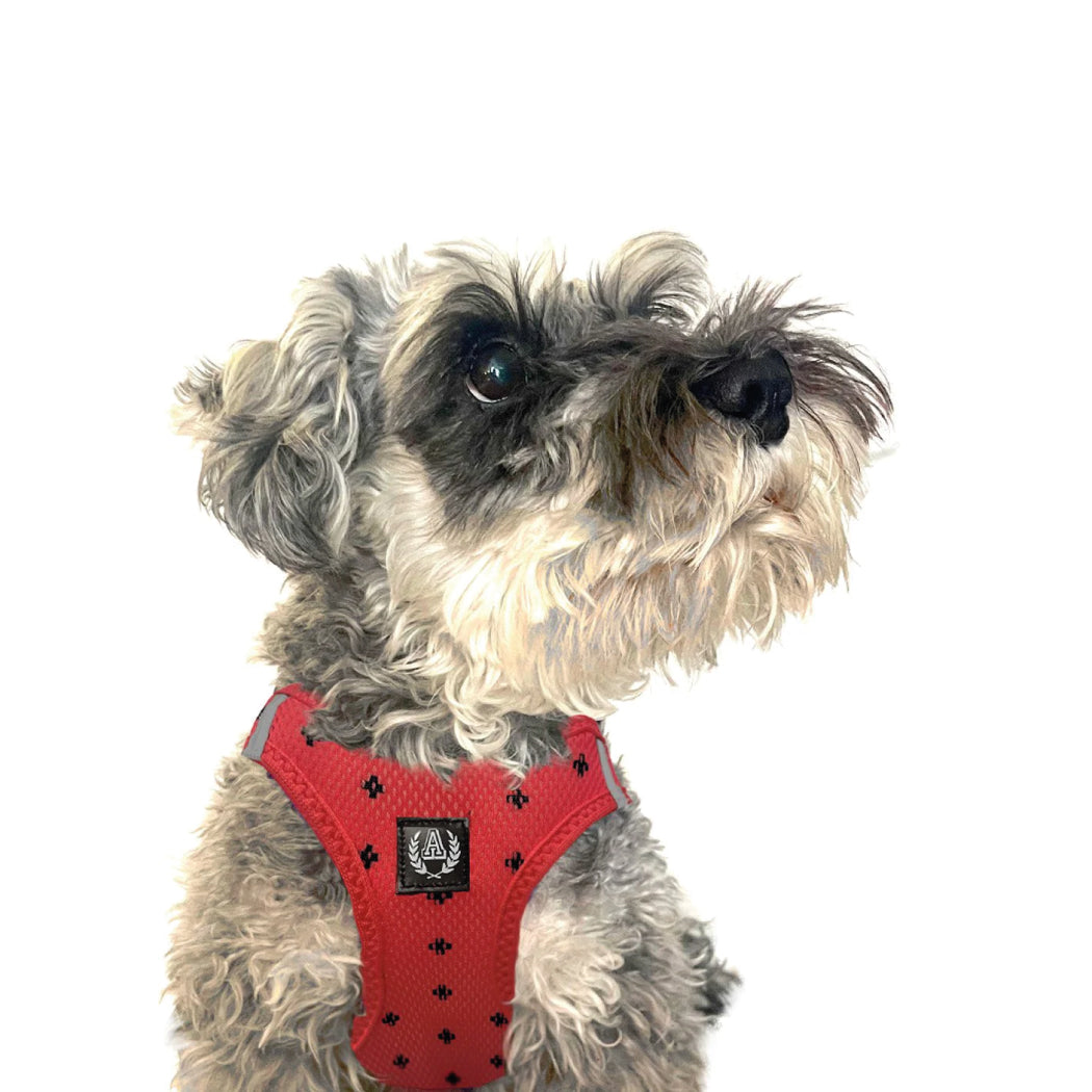 ARNES ALPHADOG POSITIVE XL