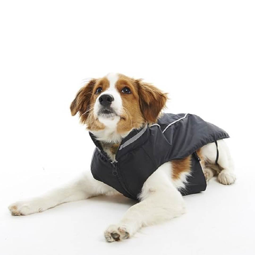 Buster Winter Jacket