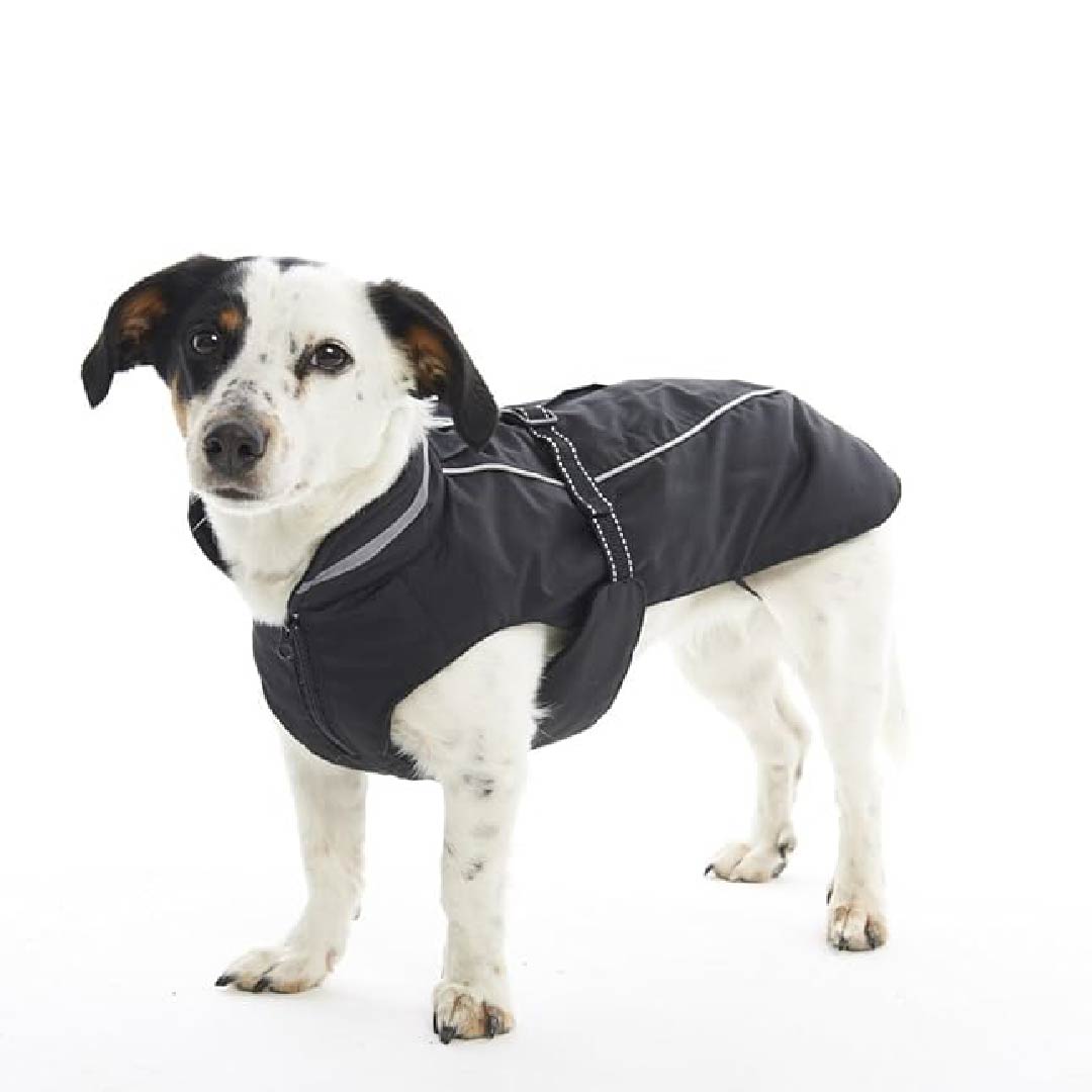 Buster Winter Jacket