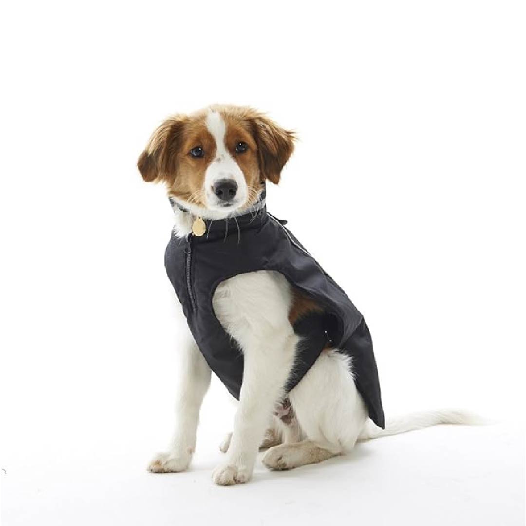 Buster Winter Jacket