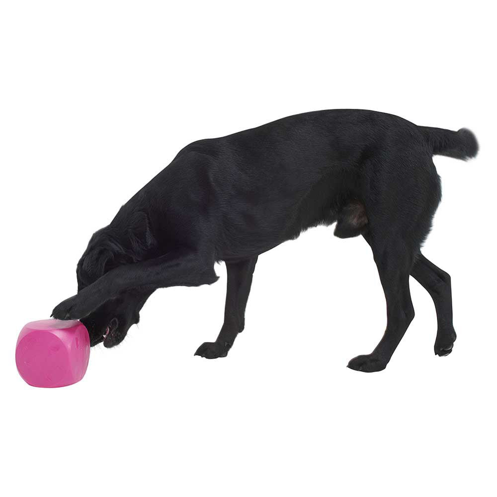 Buster interactive toy bucket with snack holder 12cm KRUUSE