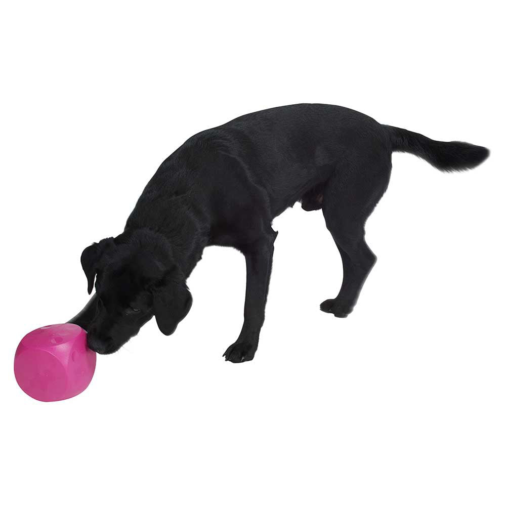 Buster interactive toy bucket with snack holder 12cm KRUUSE