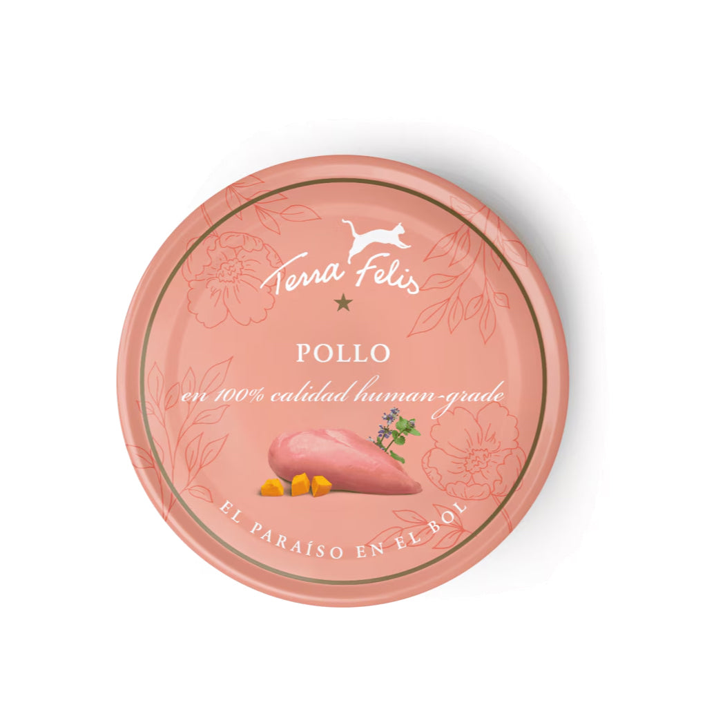 Terra Felis Gato Adulto Pollo 80g