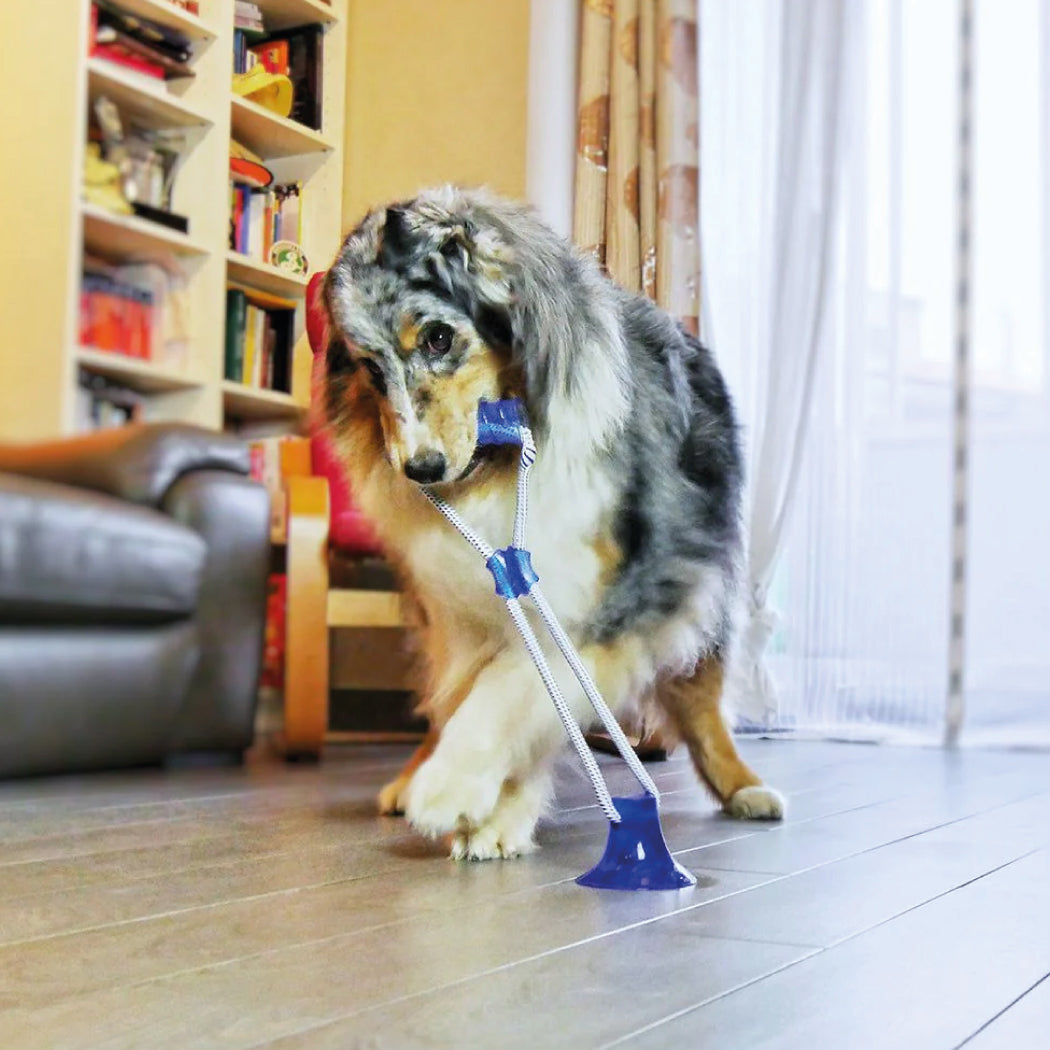 GIOCO CANE PULL&PLAY C/STICK