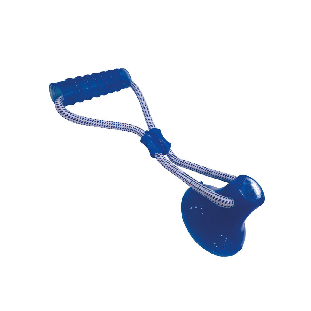 GIOCO CANE PULL&PLAY C/STICK