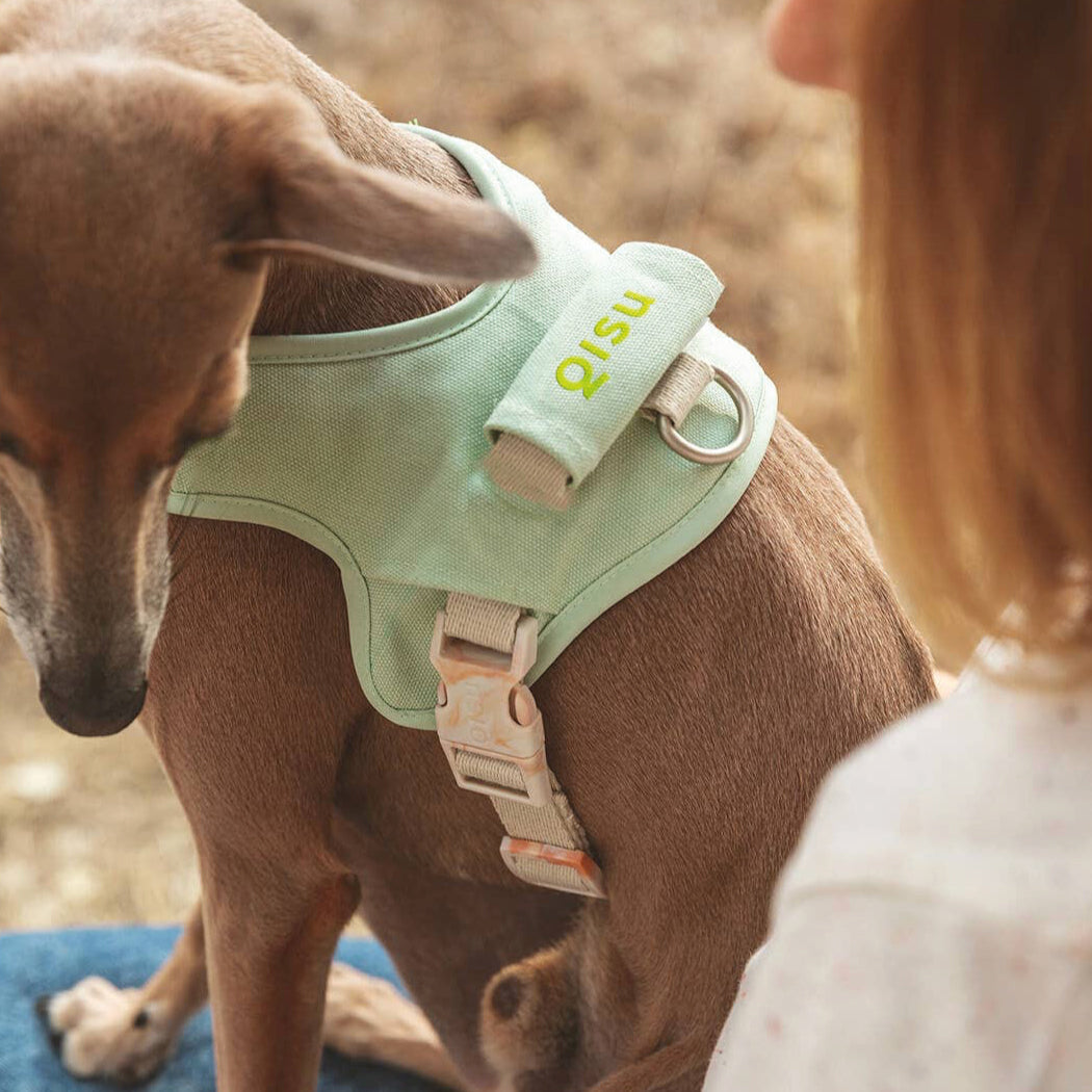 Arnés Qisu Hug Harness