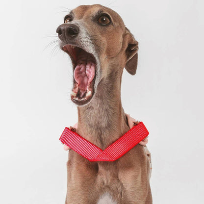Arnés Qisu Hug Harness