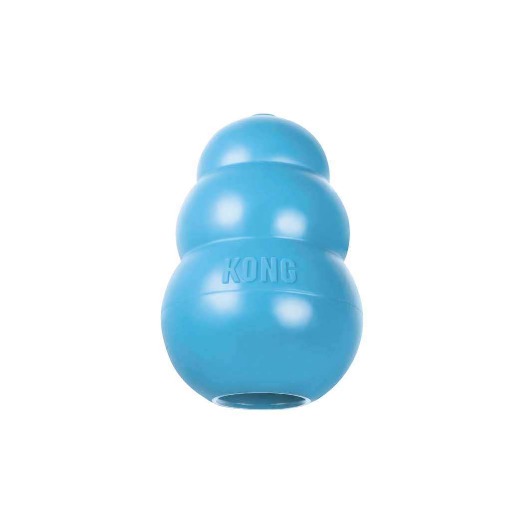 KONG ESPECIAL CACHORROS GRANDE