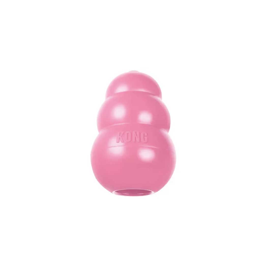 KONG ESPECIAL CACHORROS XS