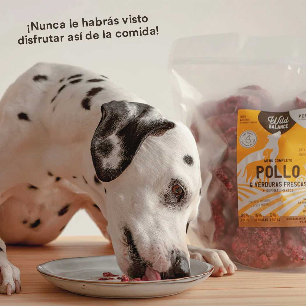 Menú BARF de Pollo con verduras frescas para perros