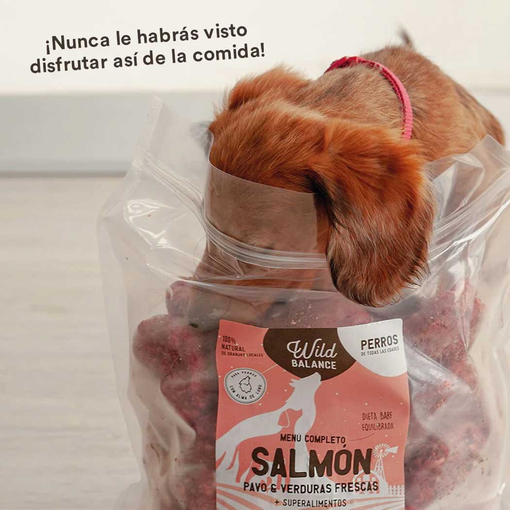 Menú BARF de Salmón con verduras frescas para perros