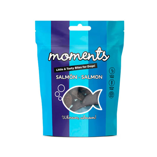 Moments Salmón 60g