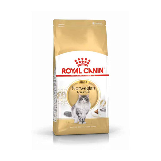 Royal Canin Norwegian Forest Cat Adult
