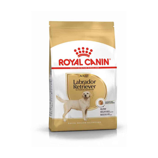 Royal Canin Labrador Retriever Adult