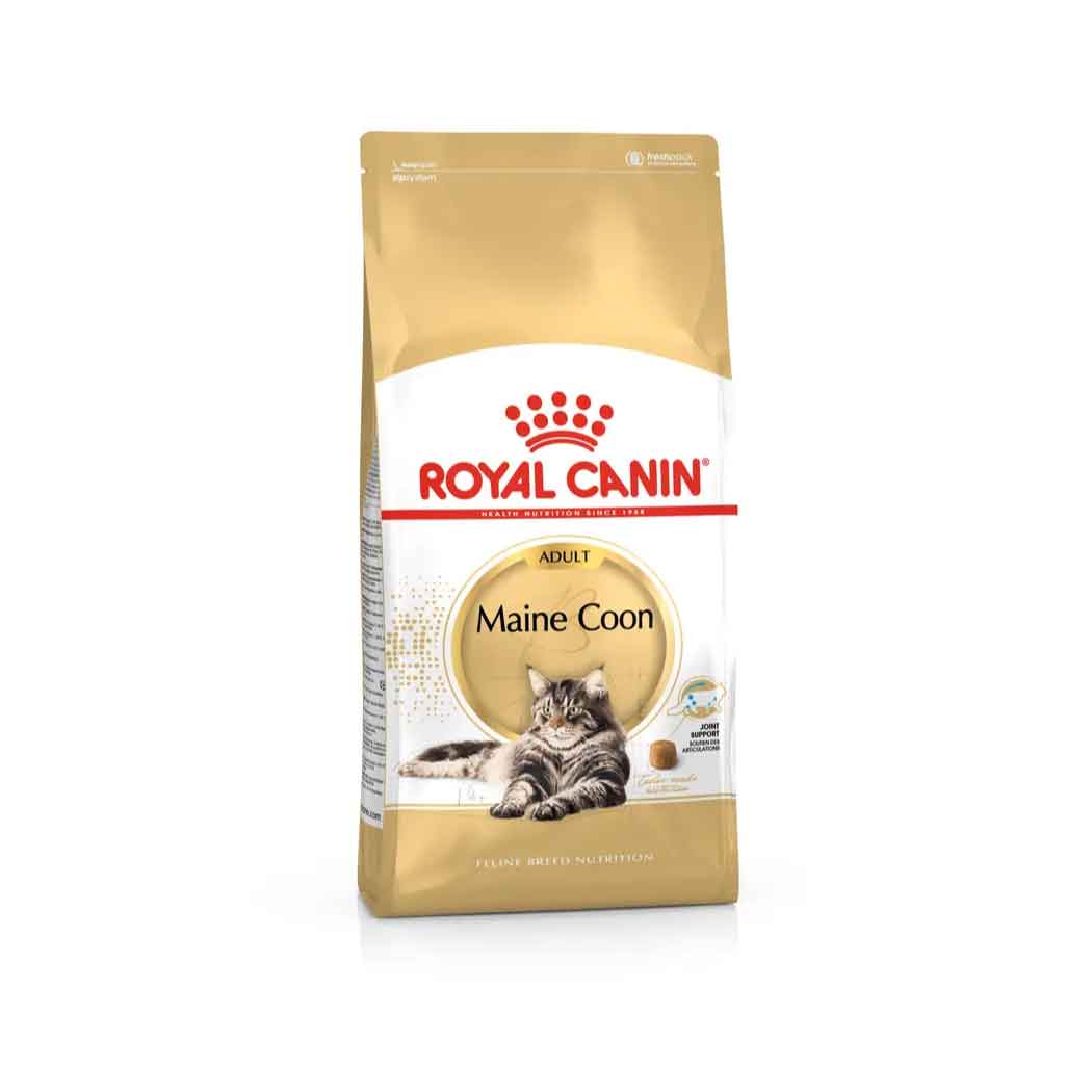 Royal Canin Cat Maine Coon Adult