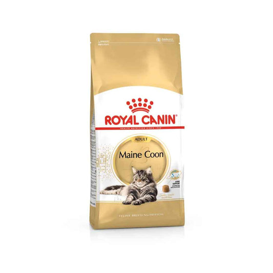 Royal Canin Cat Maine Coon Adult