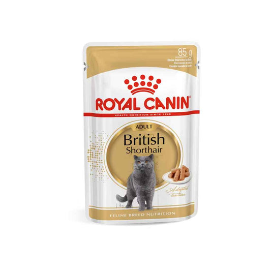 Royal Canin húmedo British Shorthair 85g