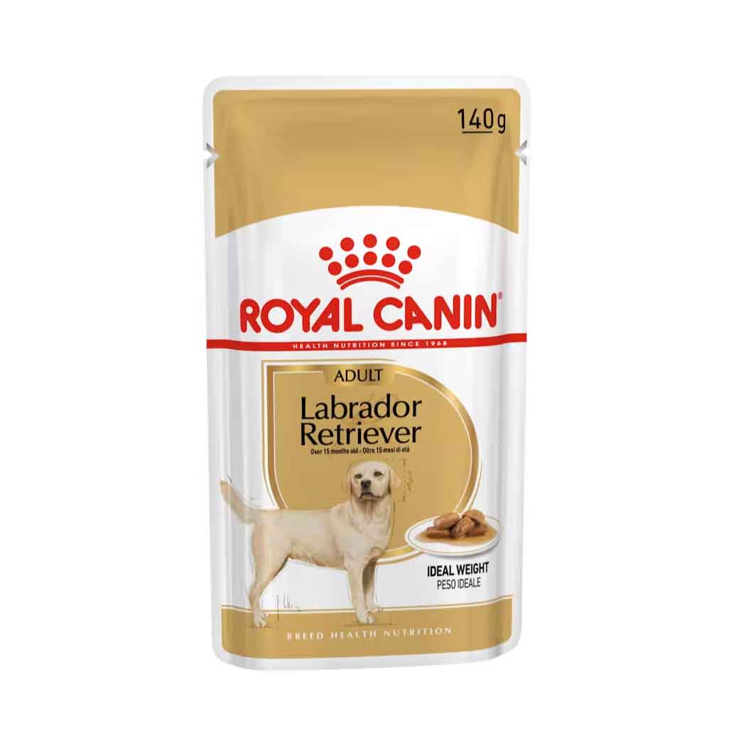 Royal Canin húmedo Labrador Retriever 140g
