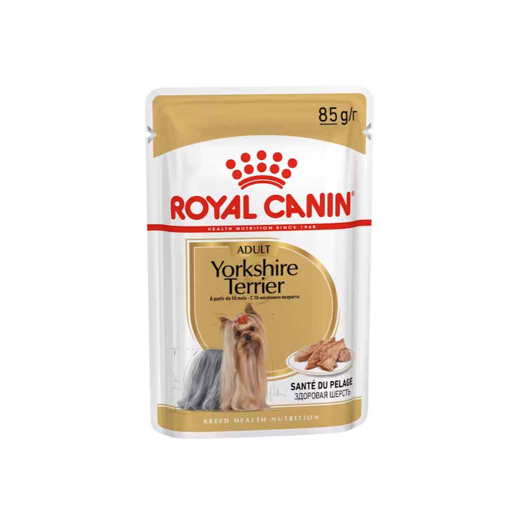 Royal Canin húmedo Yorkshire Terrier 85g