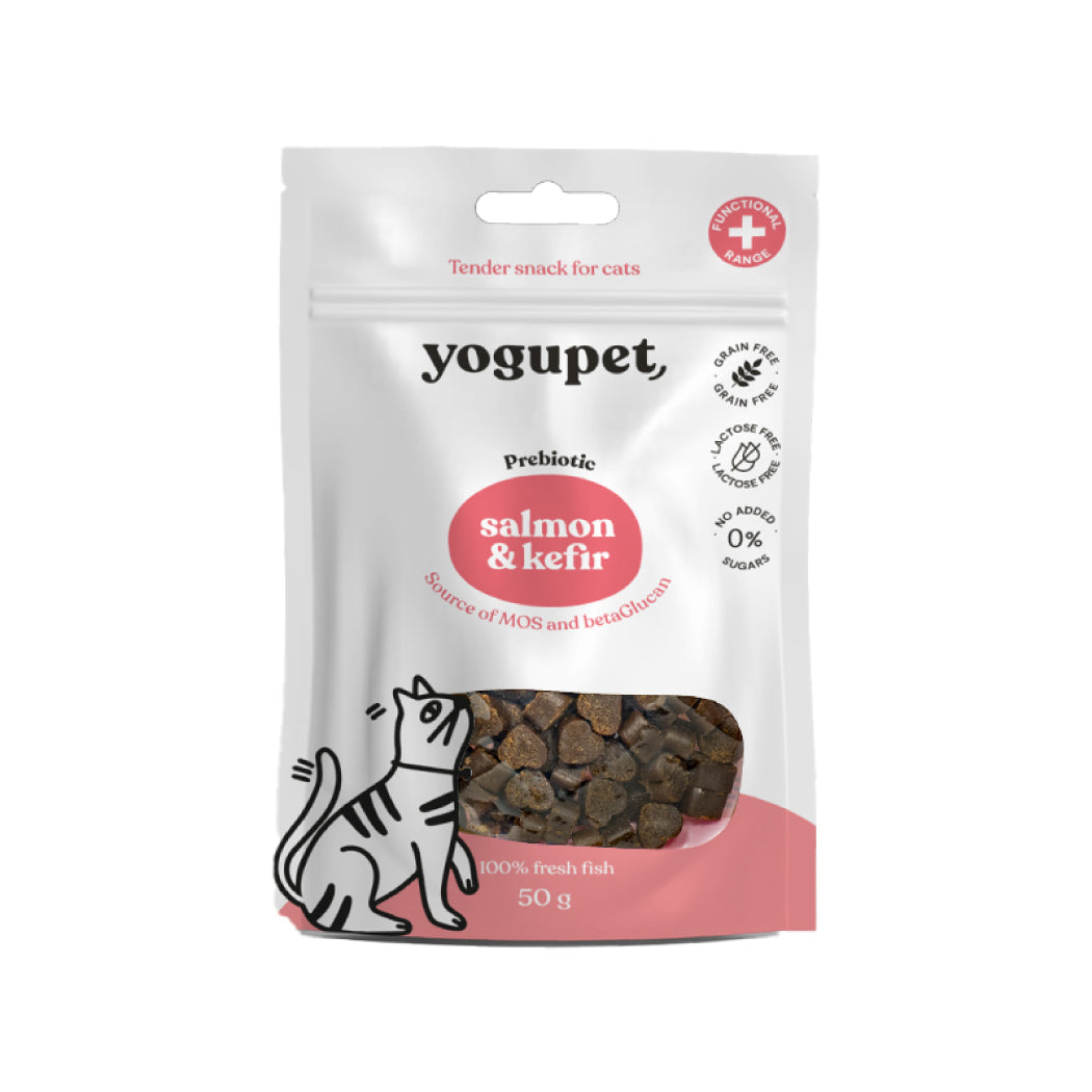 Yogupet Cat Snack salmon&kefir