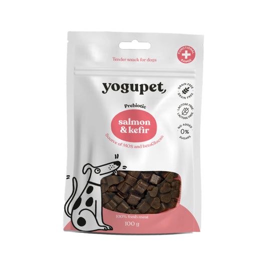 Yogupet Dog Snack salmon&kefir 100g
