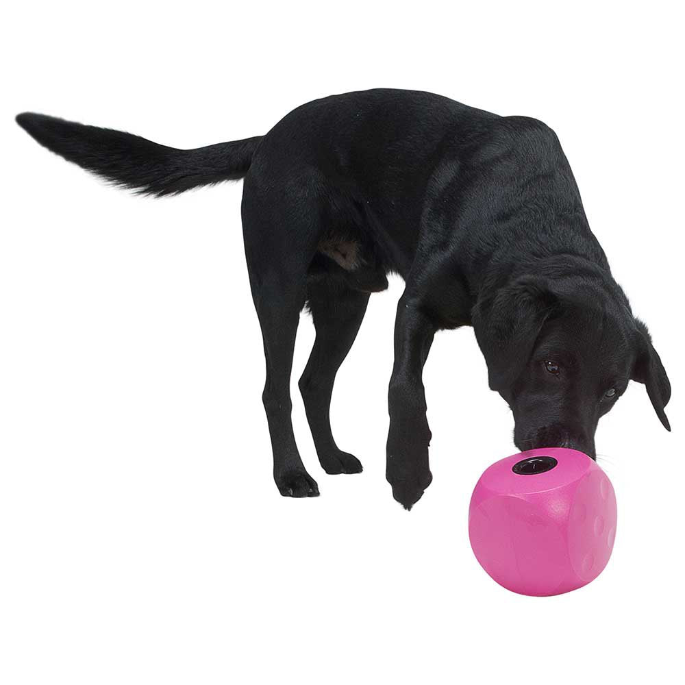 Buster interactive toy bucket with snack holder 12cm KRUUSE