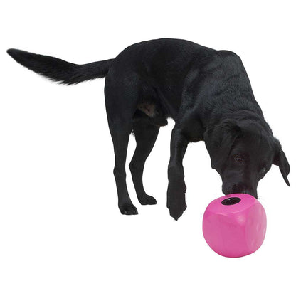 Buster interactive toy bucket with snack holder 12cm KRUUSE